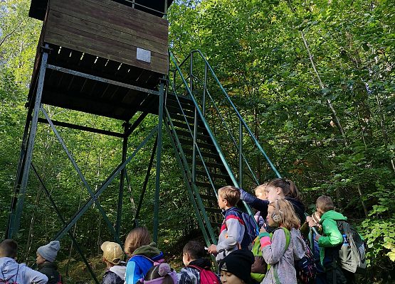 Wycieczka do lasu w ramach akcji "Sprzątanie Świata" (klasy 1-3) grafika