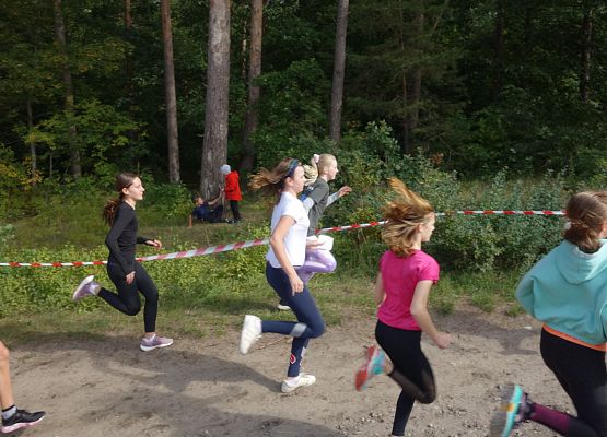 ​ Indywidualne biegi przełajowe o puchar Grand-Prix Lęborka  grafika