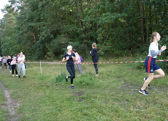 ​ Indywidualne biegi przełajowe o puchar Grand-Prix Lęborka  grafika