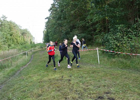 ​ Indywidualne biegi przełajowe o puchar Grand-Prix Lęborka  grafika