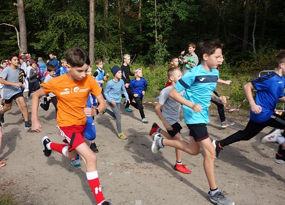 ​ Indywidualne biegi przełajowe o puchar Grand-Prix Lęborka  grafika