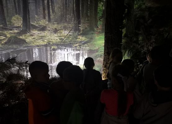 Wycieczka klas 2-3 do Łeby grafika