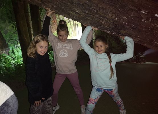 Wycieczka klas 2-3 do Łeby grafika