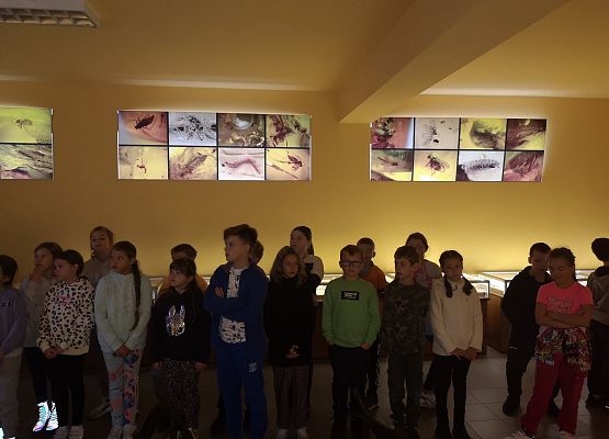 Wycieczka klas 2-3 do Łeby grafika