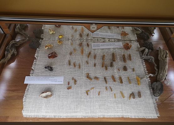 Wycieczka klas 2-3 do Łeby grafika