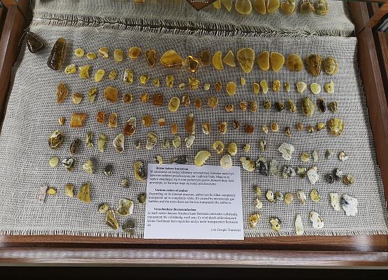 Wycieczka klas 2-3 do Łeby grafika