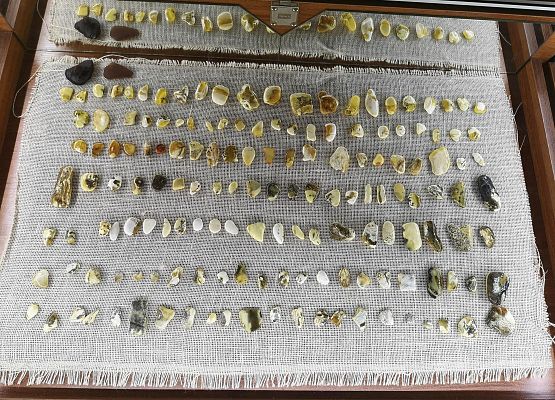 Wycieczka klas 2-3 do Łeby grafika