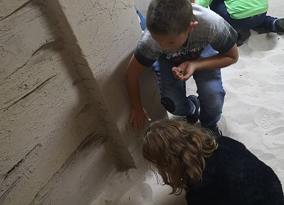 Wycieczka klas 2-3 do Łeby grafika