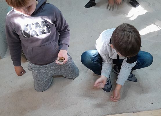 Wycieczka kaszubska klasy pierwszej – ŁEBA grafika