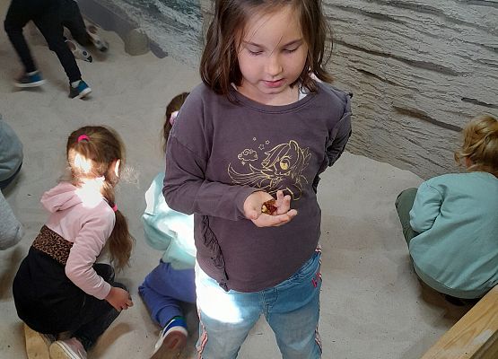 Wycieczka kaszubska klasy pierwszej – ŁEBA grafika