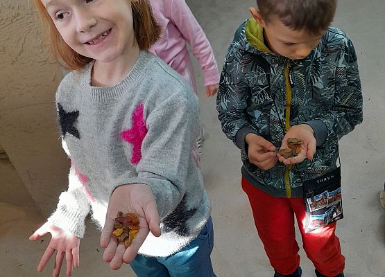 Wycieczka kaszubska klasy pierwszej – ŁEBA grafika