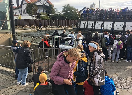 Wycieczka klas 4a i 5a  na Hel   grafika