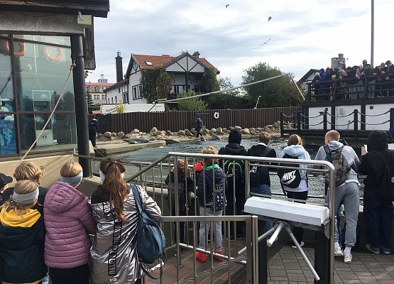 Wycieczka klas 4a i 5a  na Hel   grafika