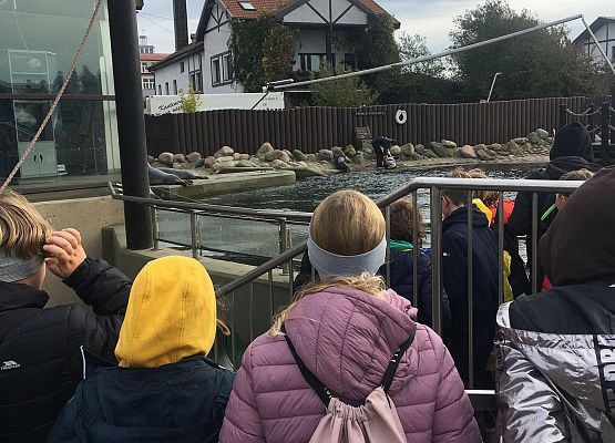 Wycieczka klas 4a i 5a  na Hel   grafika