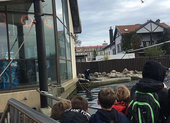 Wycieczka klas 4a i 5a  na Hel   grafika