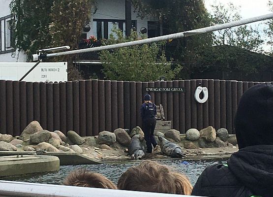 Wycieczka klas 4a i 5a  na Hel   grafika