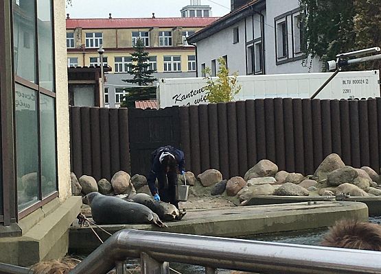 Wycieczka klas 4a i 5a  na Hel   grafika