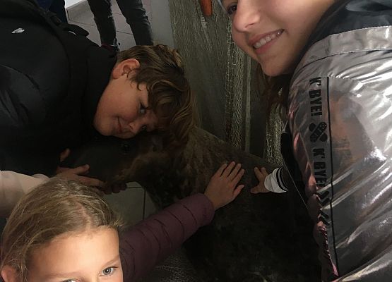 Wycieczka klas 4a i 5a  na Hel   grafika