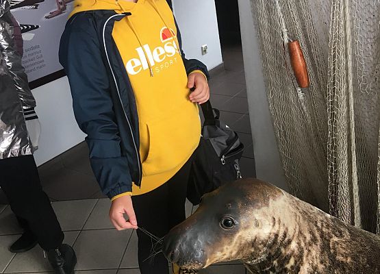 Wycieczka klas 4a i 5a  na Hel   grafika