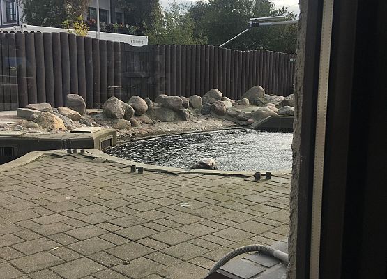 Wycieczka klas 4a i 5a  na Hel   grafika