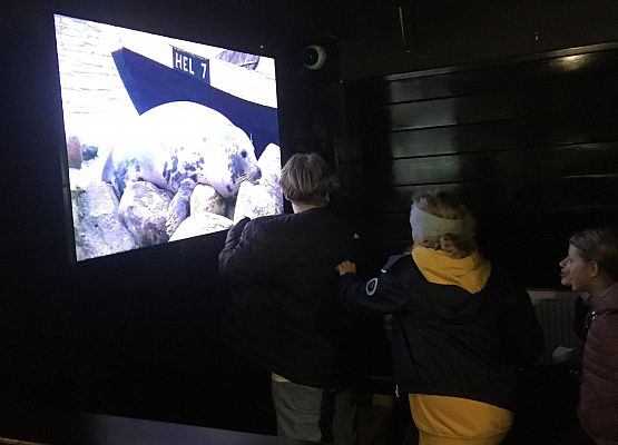 Wycieczka klas 4a i 5a  na Hel   grafika