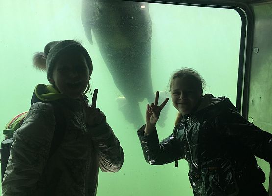 Wycieczka klas 4a i 5a  na Hel   grafika