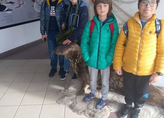 Wycieczka klas 4a i 5a  na Hel   grafika