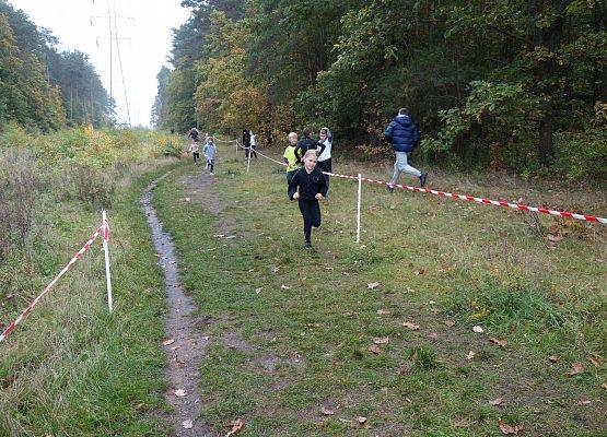 Indywidualne biegi przełajowe o puchar Grand-Prix Lęborka – bieg drugi grafika