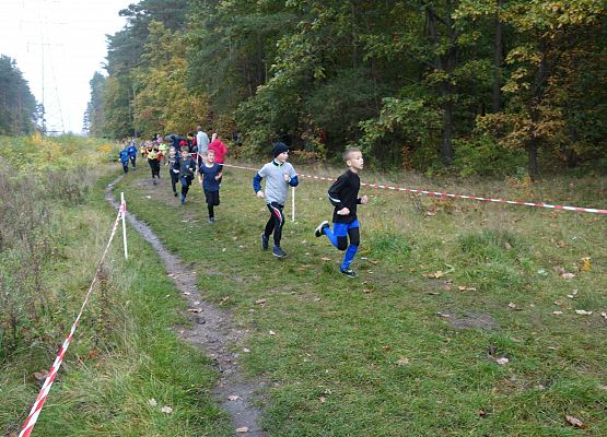 Indywidualne biegi przełajowe o puchar Grand-Prix Lęborka – bieg drugi grafika