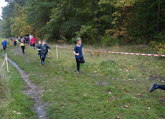 Indywidualne biegi przełajowe o puchar Grand-Prix Lęborka – bieg drugi grafika