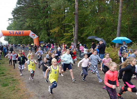 Indywidualne biegi przełajowe o puchar Grand-Prix Lęborka – bieg drugi grafika