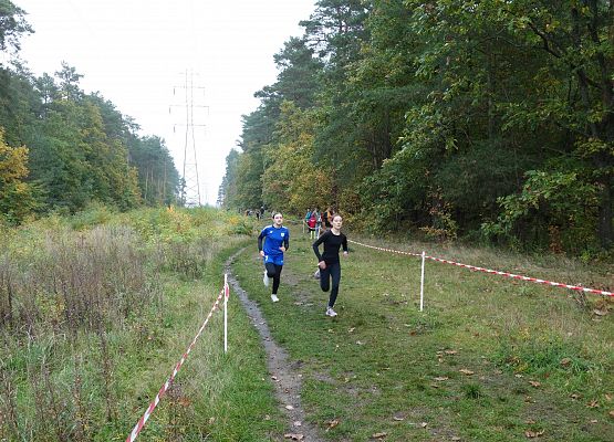 Indywidualne biegi przełajowe o puchar Grand-Prix Lęborka – bieg drugi grafika