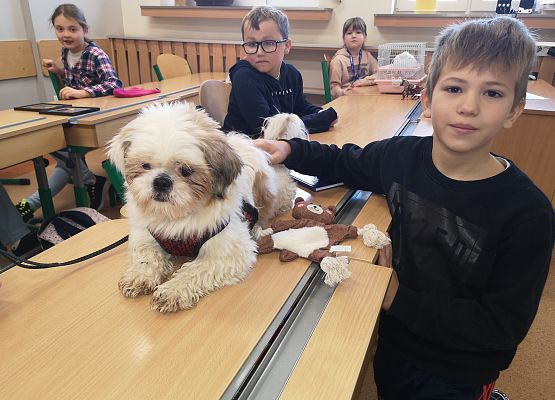 Światowy Dzień Zwierząt w klasie 3a grafika