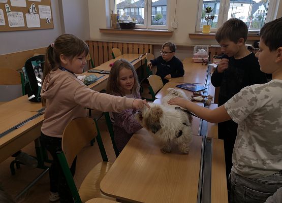 Światowy Dzień Zwierząt w klasie 3a grafika