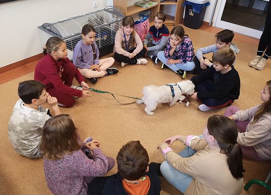 Światowy Dzień Zwierząt w klasie 3a grafika