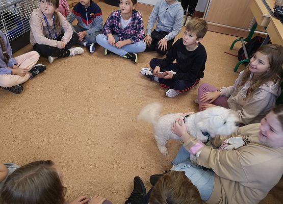 Światowy Dzień Zwierząt w klasie 3a grafika