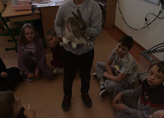 Światowy Dzień Zwierząt w klasie 3a grafika