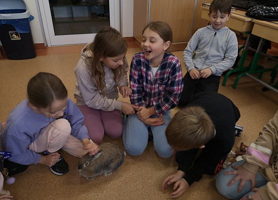 Światowy Dzień Zwierząt w klasie 3a grafika