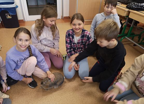 Światowy Dzień Zwierząt w klasie 3a grafika