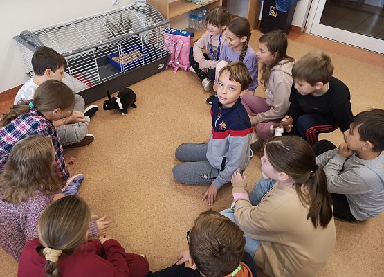 Światowy Dzień Zwierząt w klasie 3a grafika