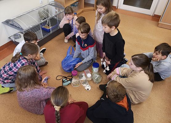 Światowy Dzień Zwierząt w klasie 3a grafika