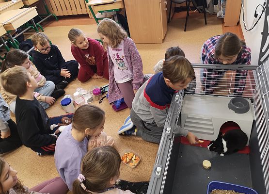 Światowy Dzień Zwierząt w klasie 3a grafika