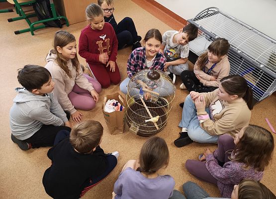 Światowy Dzień Zwierząt w klasie 3a grafika