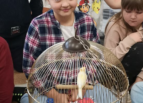 Światowy Dzień Zwierząt w klasie 3a grafika