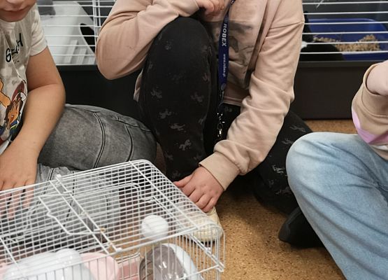 Światowy Dzień Zwierząt w klasie 3a grafika