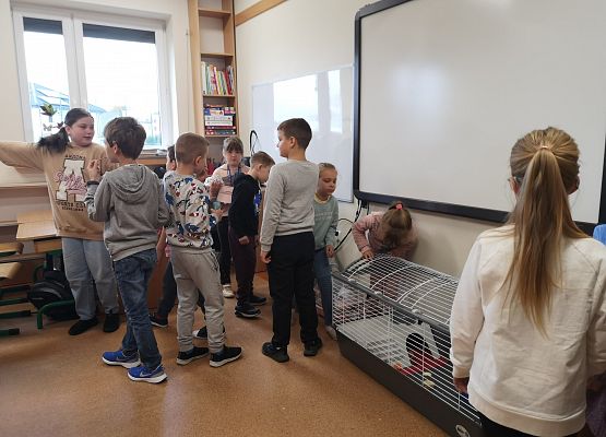 Światowy Dzień Zwierząt w klasie 3a grafika