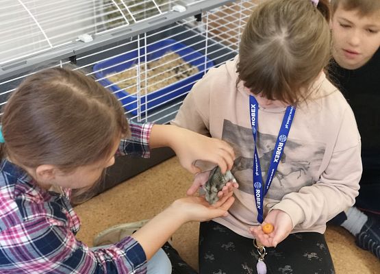 Światowy Dzień Zwierząt w klasie 3a grafika