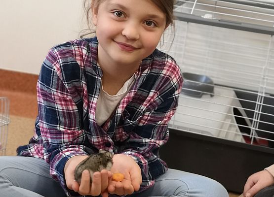 Światowy Dzień Zwierząt w klasie 3a grafika