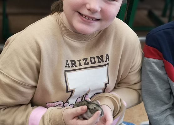 Światowy Dzień Zwierząt w klasie 3a grafika