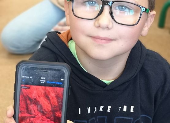 Światowy Dzień Zwierząt w klasie 3a grafika